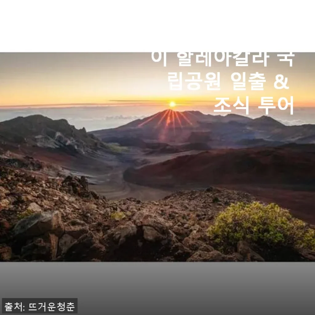 하와이 마우이 할레아칼라 국립공원 일출 & 조식 투어 사용 후기