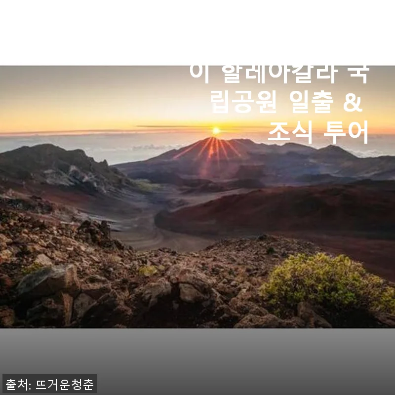 하와이 마우이 할레아칼라 국립공원 일출 & 조식 투어 사용 후기