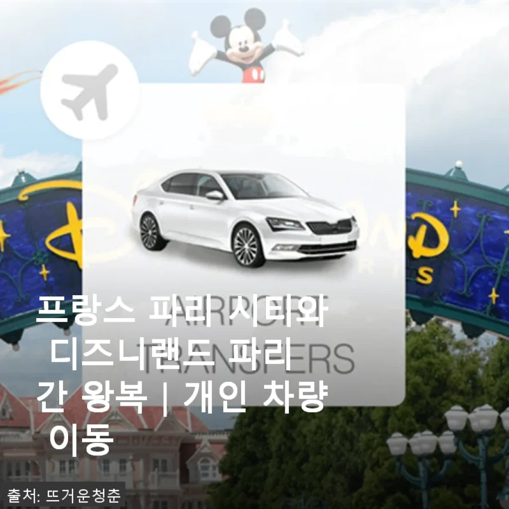 프랑스 파리 시티와 디즈니랜드 파리 간 왕복 개인 차량 이동 후기