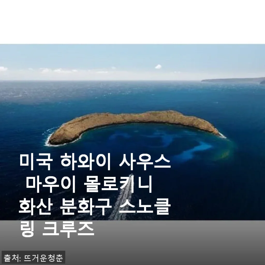 미국 하와이 사우스 마우이 몰로키니 화산 분화구 스노클링 크루즈 사용후기