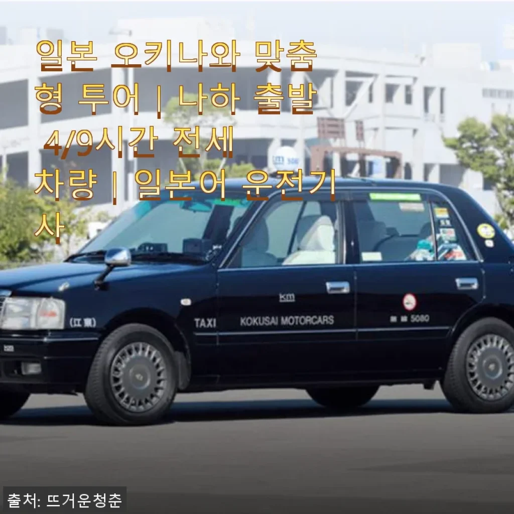 일본 오키나와 맞춤형 투어｜나하 출발 4/9시간 전세 차량｜일본어 운전기사 사용후기