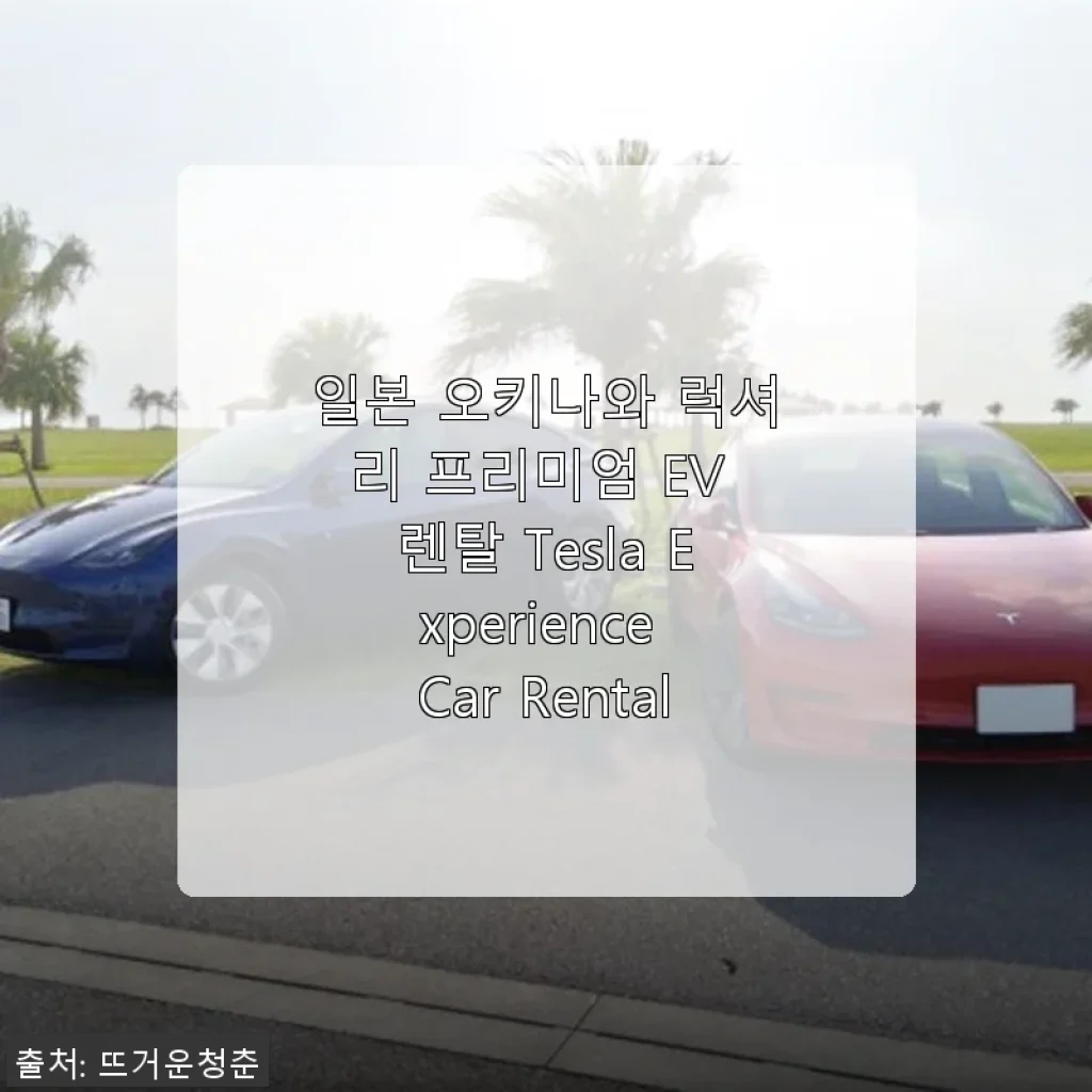일본 오키나와 럭셔리 프리미엄 EV 렌탈 Tesla Experience Car Rental 사용 후기