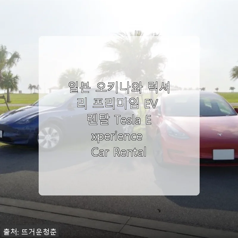 일본 오키나와 럭셔리 프리미엄 EV 렌탈 Tesla Experience Car Rental 사용 후기