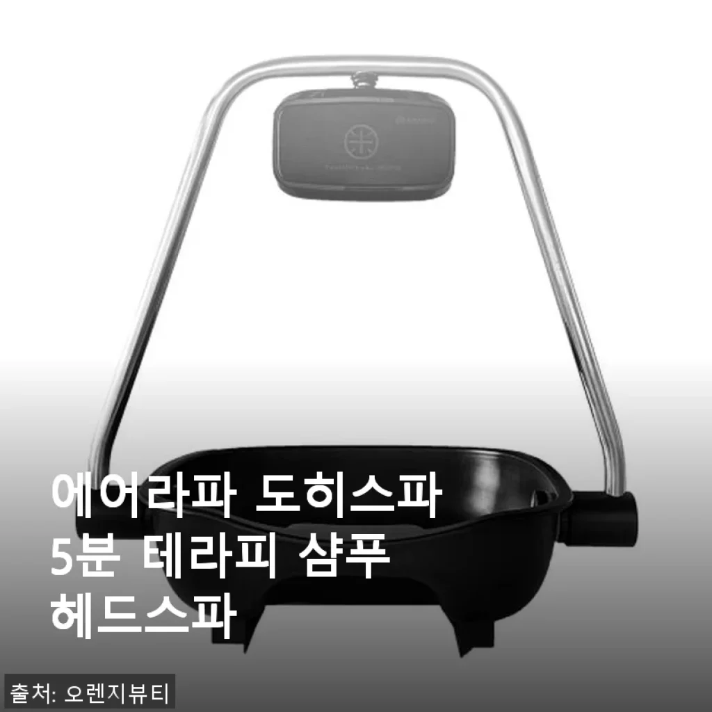 에어라파 도히스파 5분 테라피 샴푸 헤드스파 사용후기