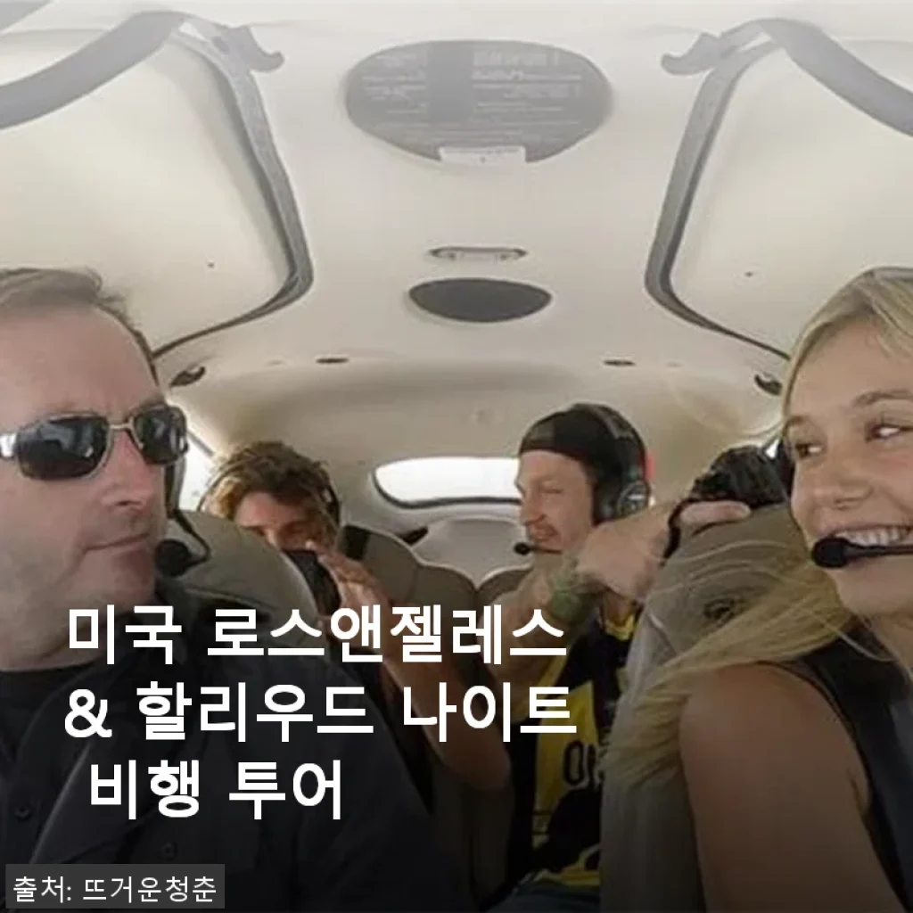 로스앤젤레스 & 할리우드 나이트 비행 투어 사용후기