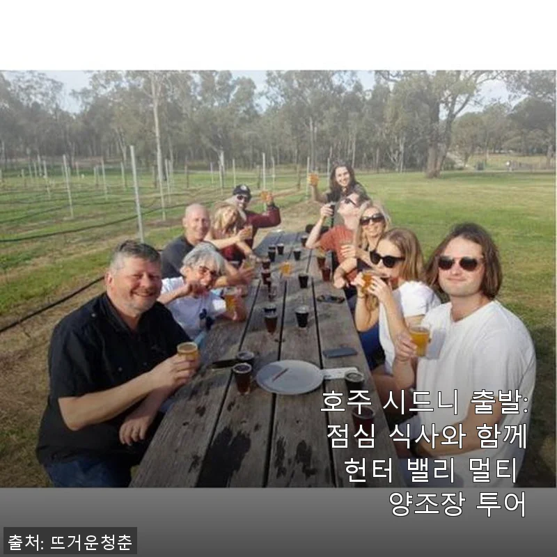 호주 시드니 출발 헌터 밸리 멀티 양조장 투어 사용 후기