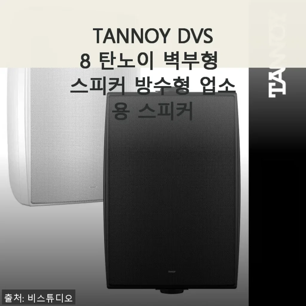 TANNOY DVS8 탄노이 벽부형 스피커 사용후기 – 카페 분위기를 한층 업그레이드하다