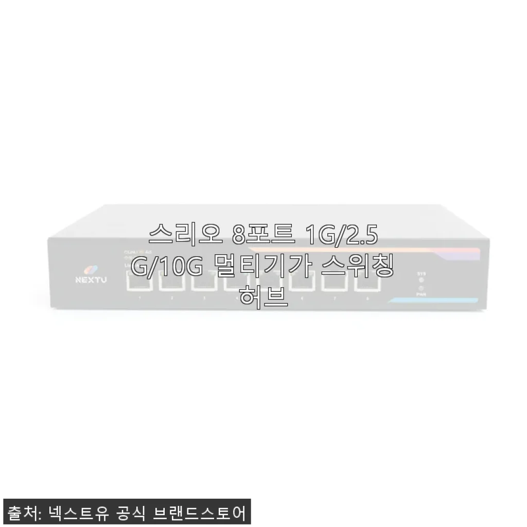 스리오 8포트 1G/2.5G/10G 멀티기가 스위칭허브 사용후기
