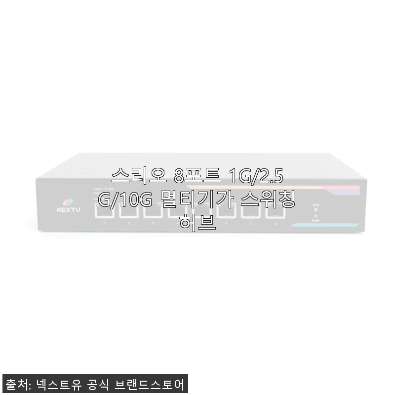 스리오 8포트 1G/2.5G/10G 멀티기가 스위칭허브 사용후기