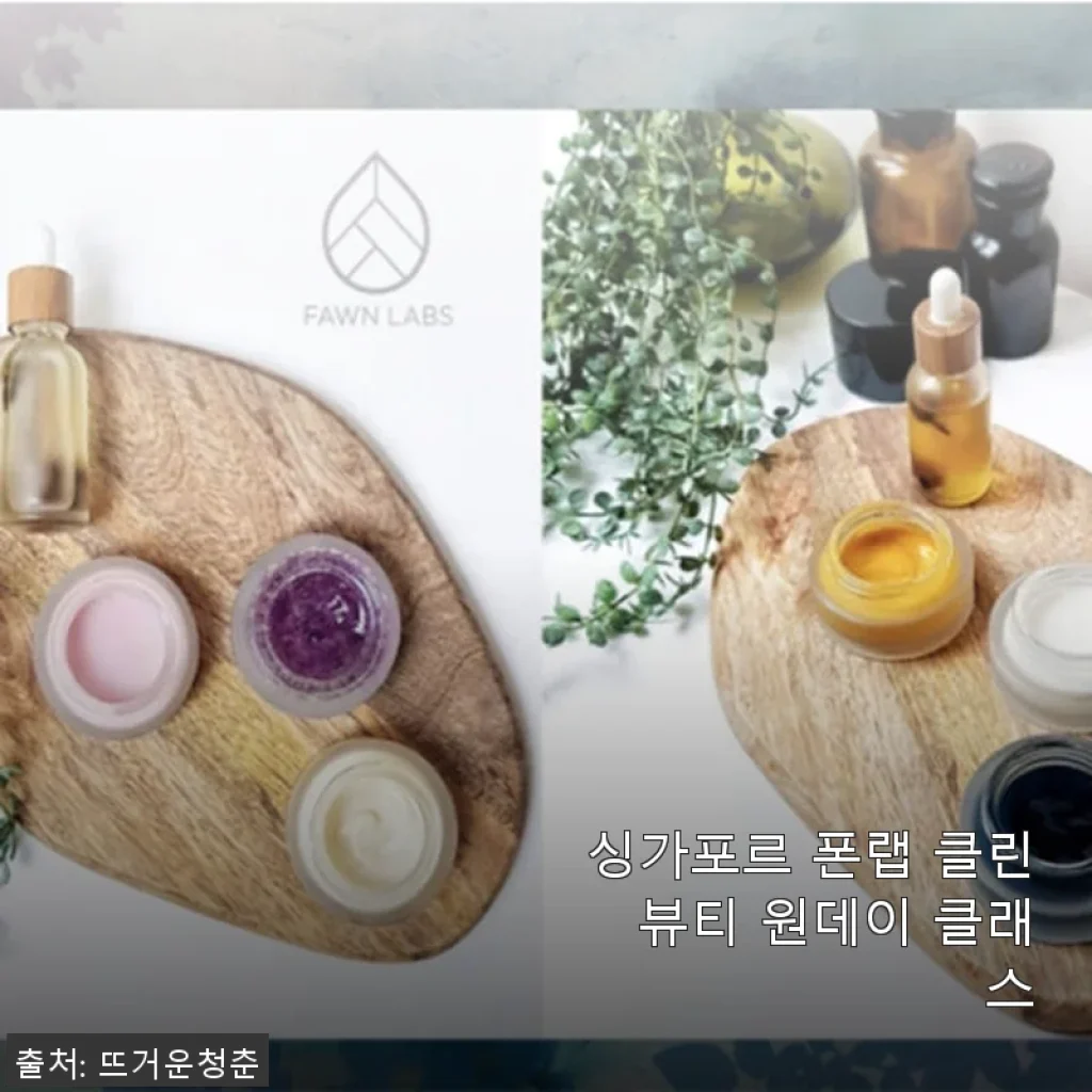 싱가포르 폰랩 클린 뷰티 원데이 클래스 사용후기와 상세 소개