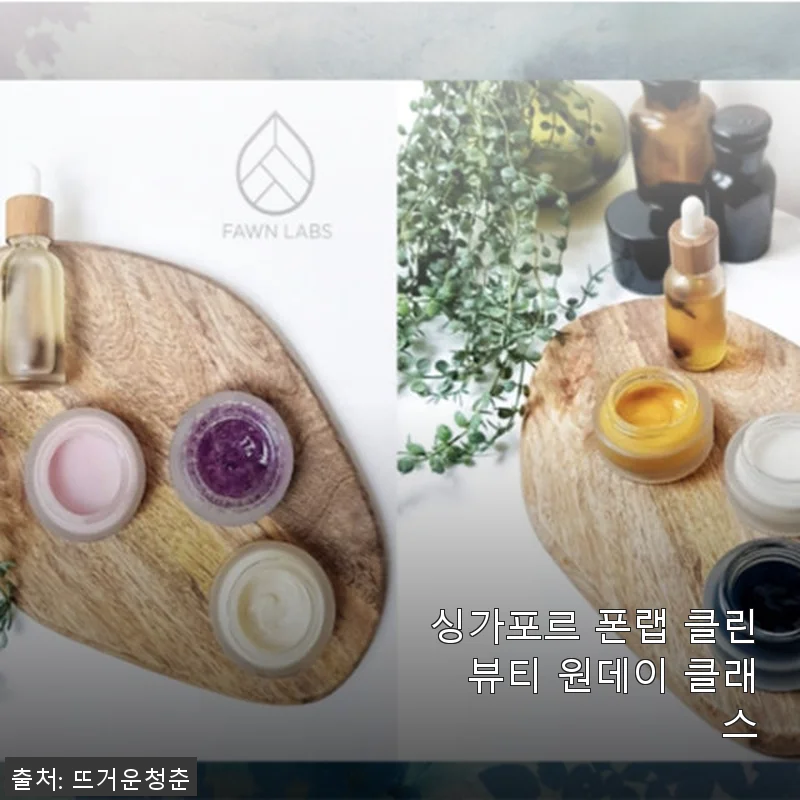 싱가포르 폰랩 클린 뷰티 원데이 클래스 사용후기와 상세 소개