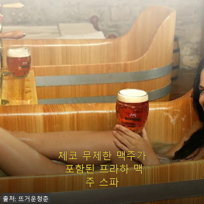 프라하 맥주 스파 체험 후기: 체코 무제한 맥주와 함께한 특별한 힐링 타임