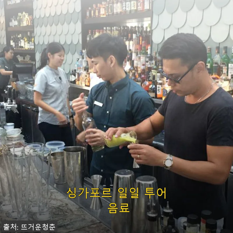 싱가포르 일일 투어 음료 체험 후기, 직접 마셔보니 어땠을까?