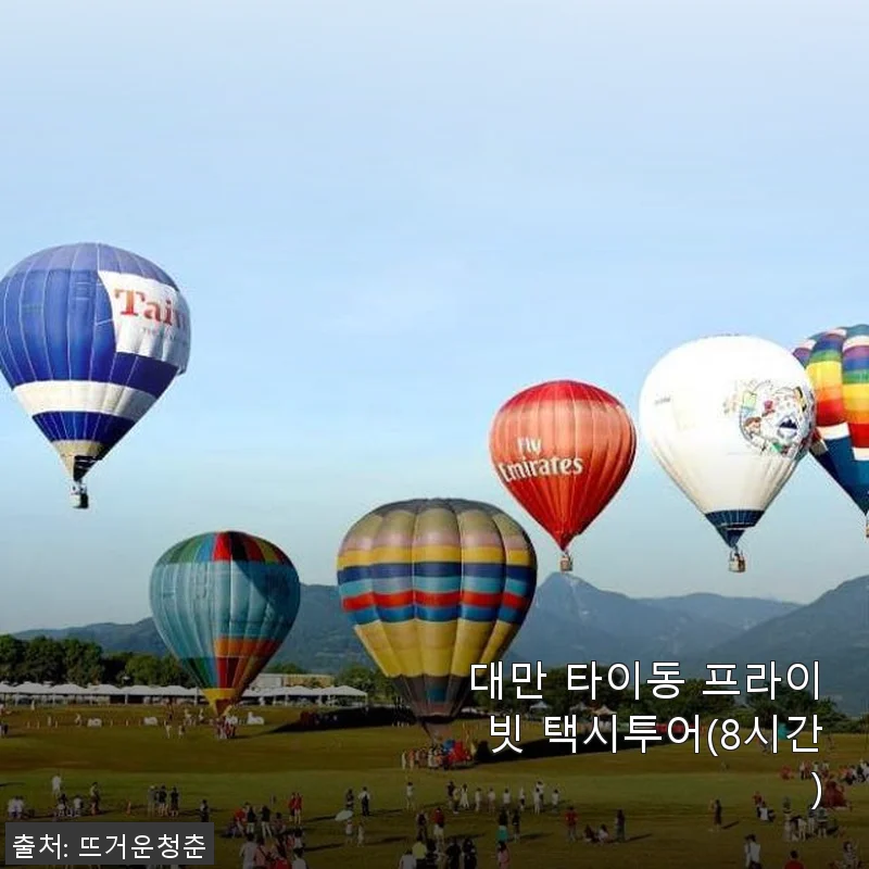 대만 타이동 프라이빗 택시투어 8시간 사용 후기 및 상세 소개