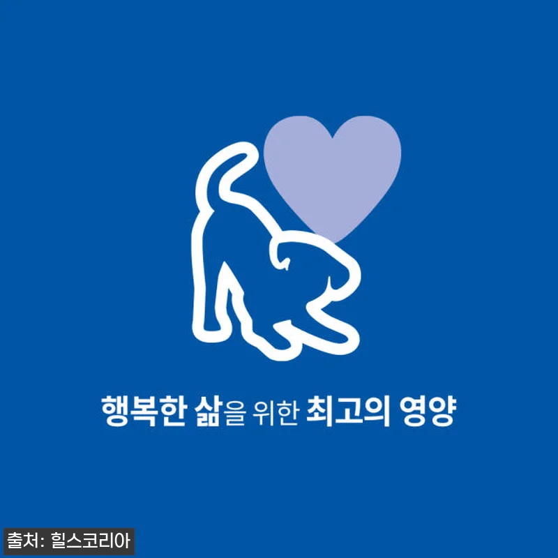 힐스 강아지사료 어덜트 헬시 퀴진 치 관련 이미지 1
