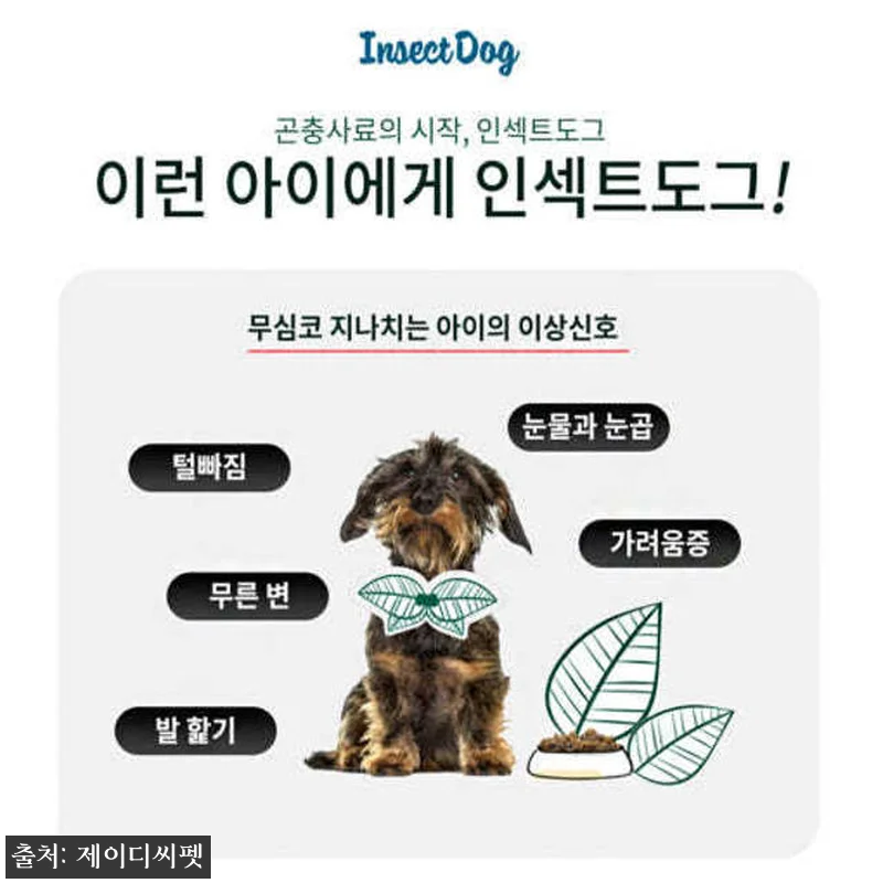 인섹트도그 오리지널 밀웜사료 강아지눈 관련 이미지 1
