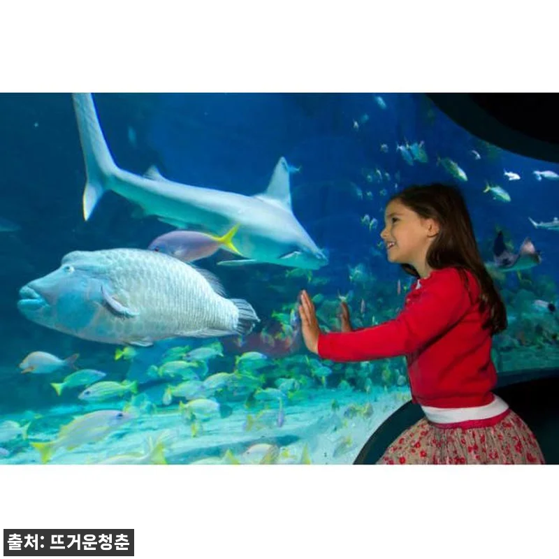 호주 시드니 iVenture 무제한 관련 이미지 3