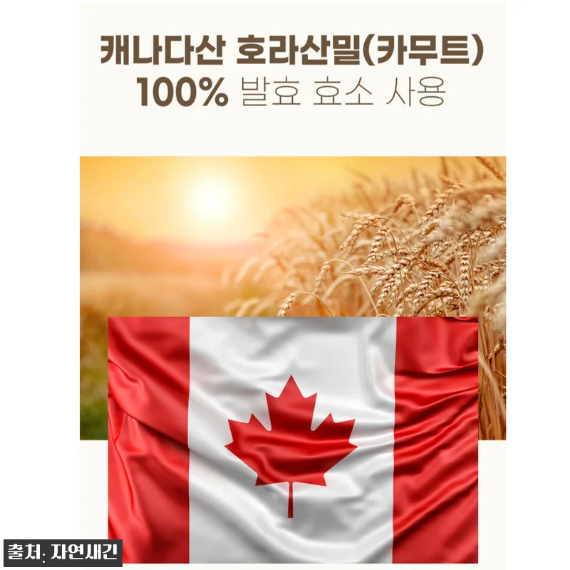 카무트 카뮤트 효소 프리미엄 호라산밀 관련 이미지 3
