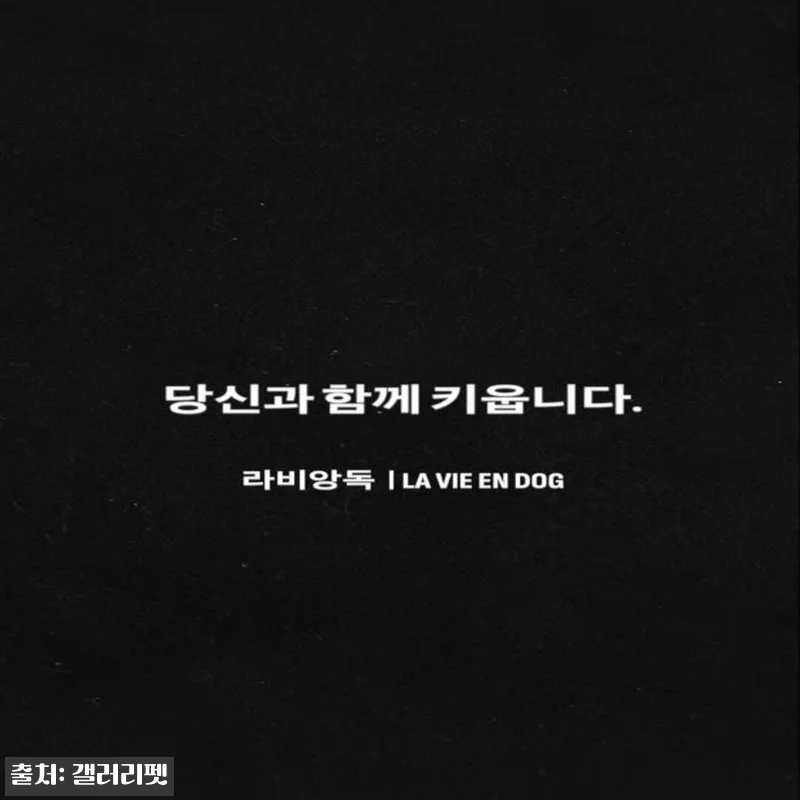 라비앙독 가수분해 연어 강아지 사료 관련 이미지 4