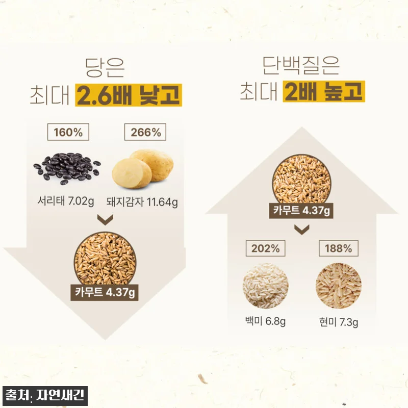 카무트 카뮤트 효소 프리미엄 호라산밀 관련 이미지 4