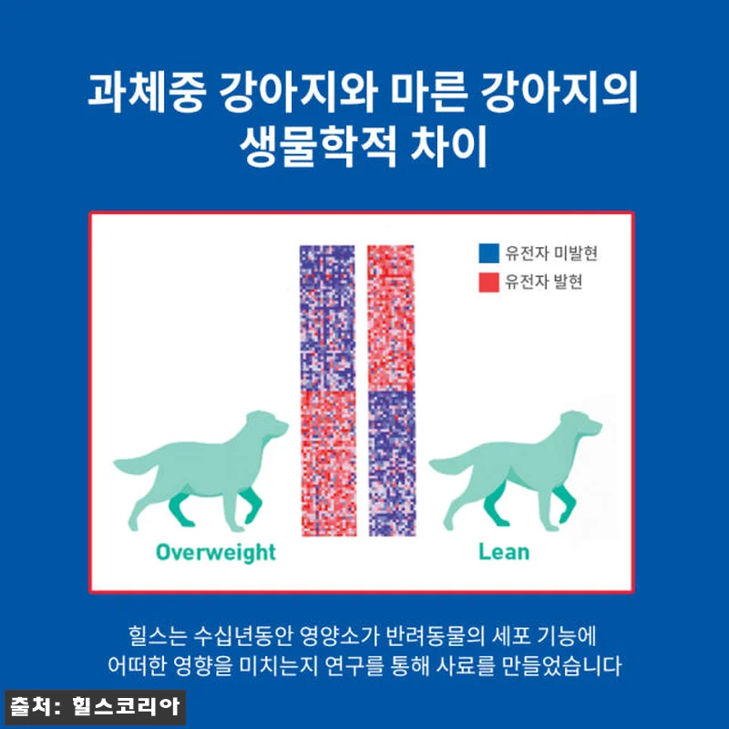 힐스 강아지사료 퍼펙트 웨이트&조인트 관련 이미지 5