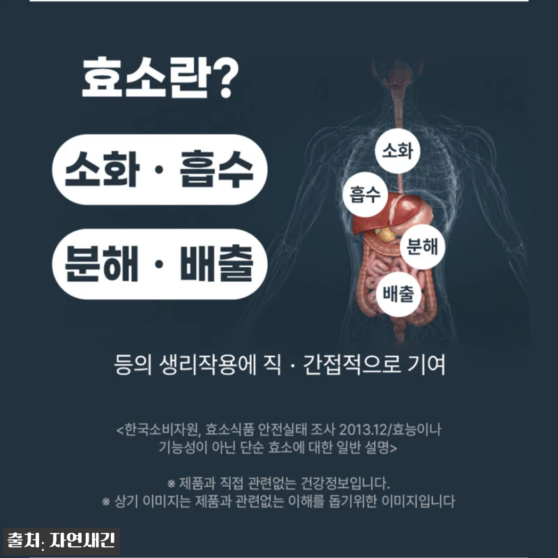 카무트 카뮤트 효소 프리미엄 호라산밀 관련 이미지 5