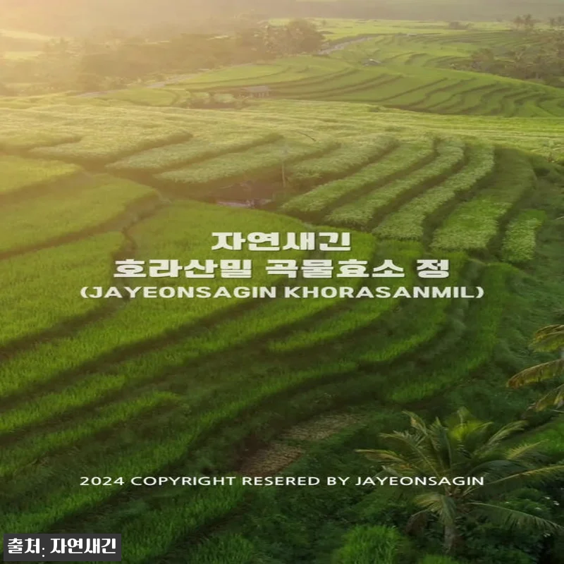카무트 카뮤트 효소 프리미엄 호라산밀 관련 이미지 7