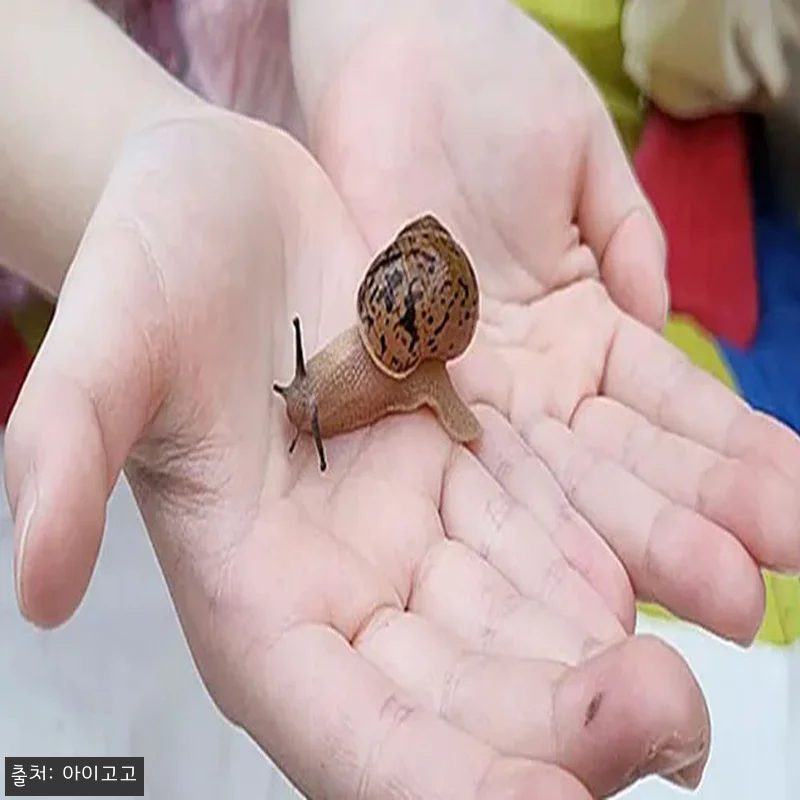서울 경기 인천 숲체험 어린이 봄 유 관련 이미지 5
