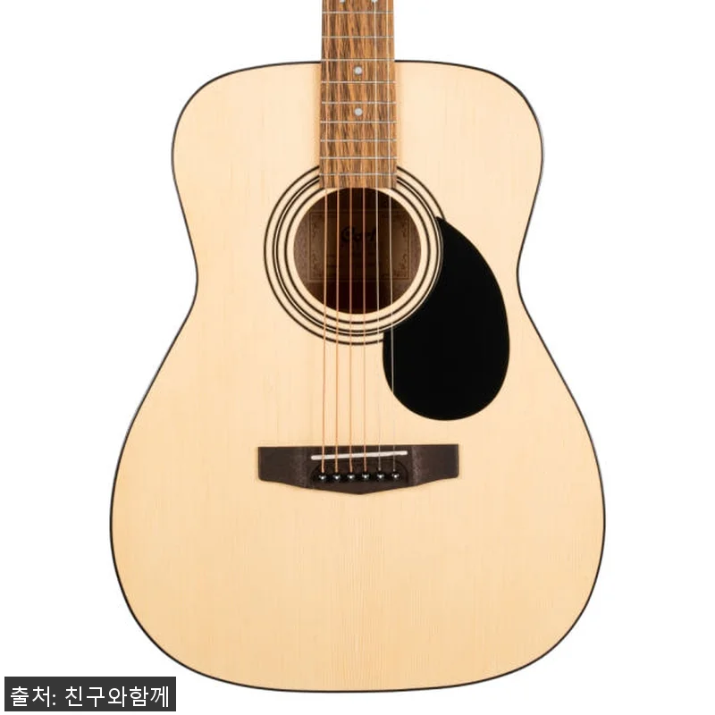 콜트 AF510 콘서트바디 기타 사용 관련 이미지 8