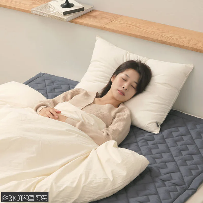 세인트리빙 블리스 탄소 매트 전기요 관련 이미지 9