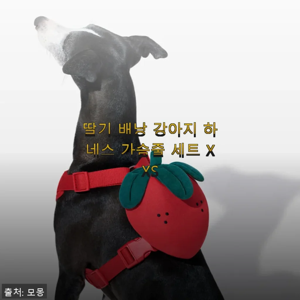 딸기 배낭 강아지 하네스 가슴줄 세트 XXS 사용후기와 추천