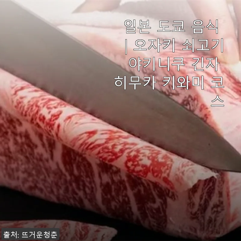 일본 도쿄 오자키 쇠고기 야키니쿠 긴자 히무카 키와미 코스 사용후기