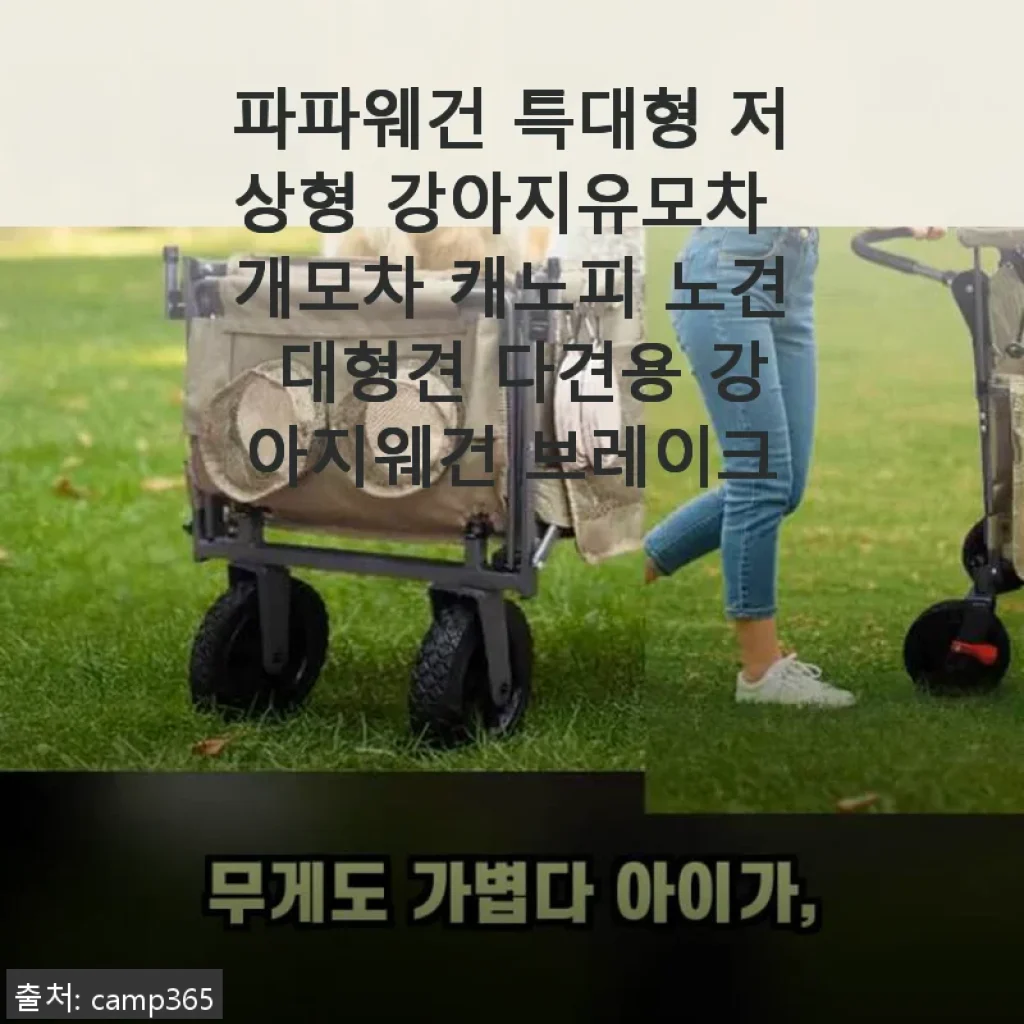 파파웨건 특대형 저상형 강아지유모차 사용후기: 대형견과 노견도 편안한 외출 필수품
