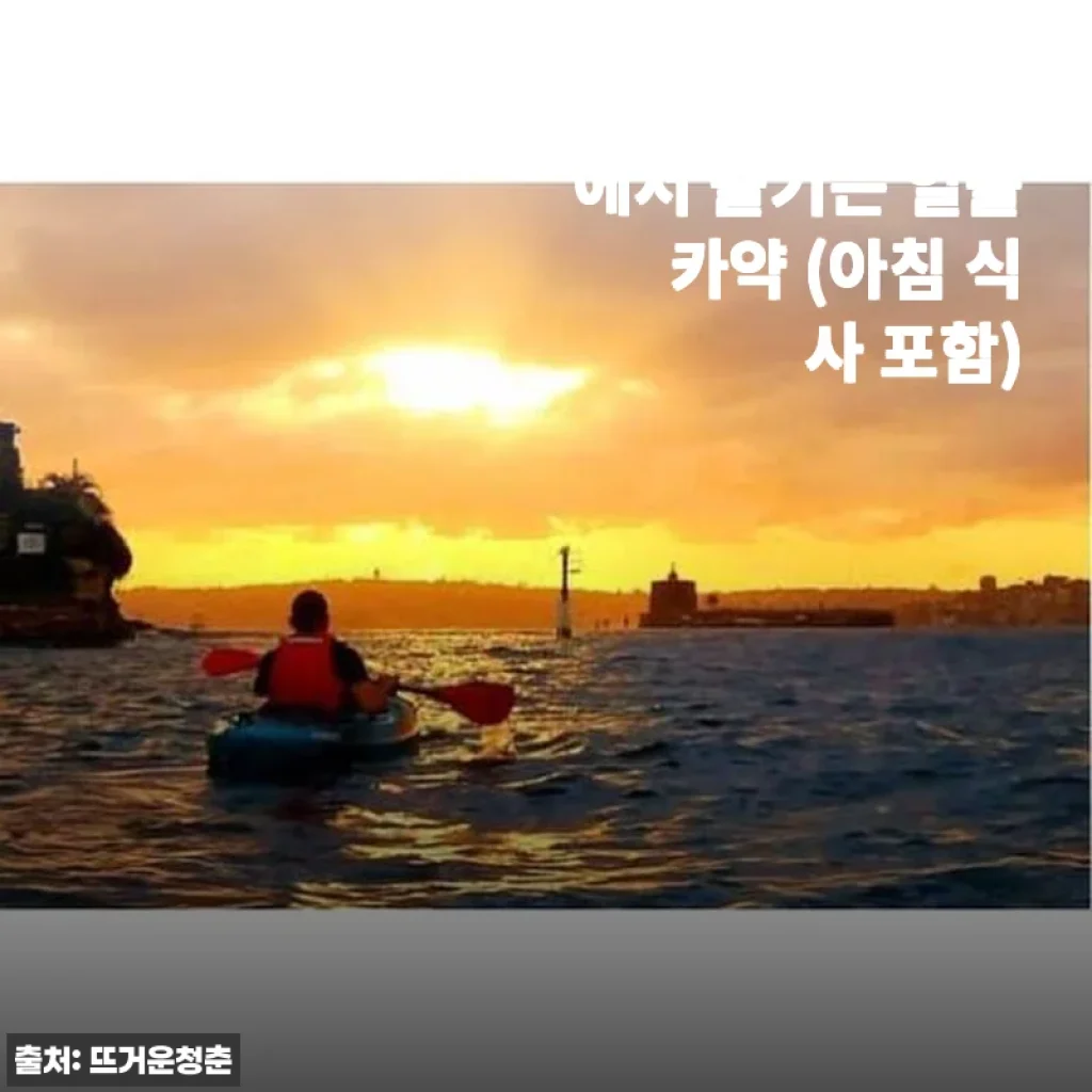 호주 시드니 하버에서 즐기는 일출 카약 체험 후기 및 아침 식사 포함 상품 소개