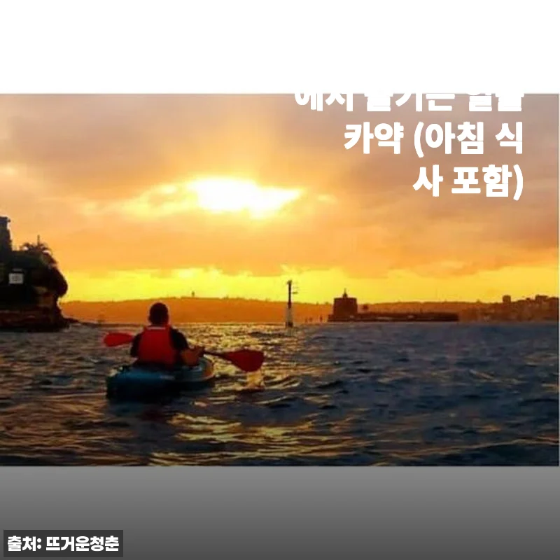 호주 시드니 하버에서 즐기는 일출 카약 체험 후기 및 아침 식사 포함 상품 소개
