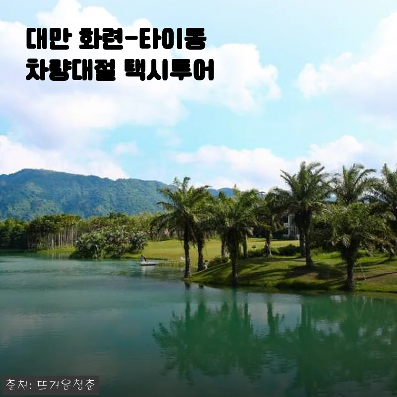 대만 화련-타이동 차량대절 택시투어 사용후기: 편안함과 자유로움의 만남