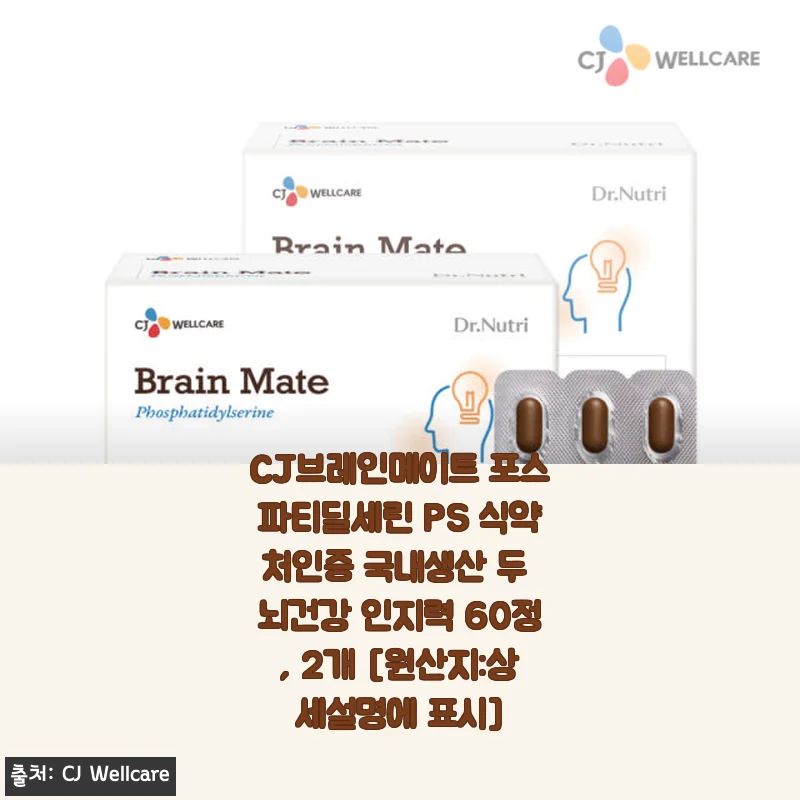CJ브레인메이트 포스파티딜세린 PS 60정 2개 세트, 꾸준한 섭취 후 뇌건강 변화 후기