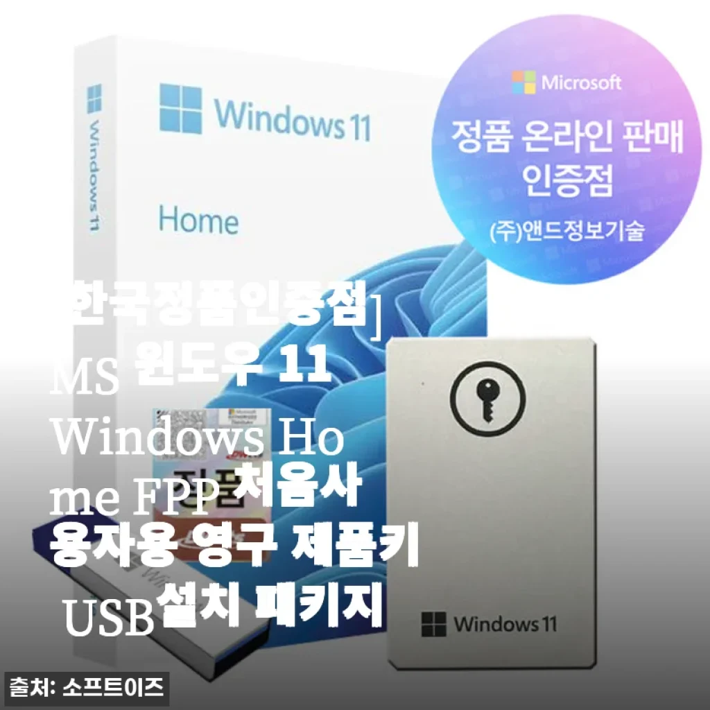 윈도우 11 Windows Home FPP 영구 제품키 USB 설치 패키지 사용 후기