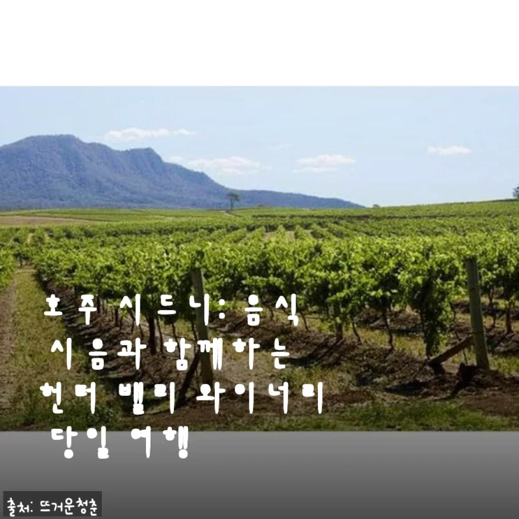 호주 시드니 헌터 밸리 와이너리 당일 여행 체험 후기