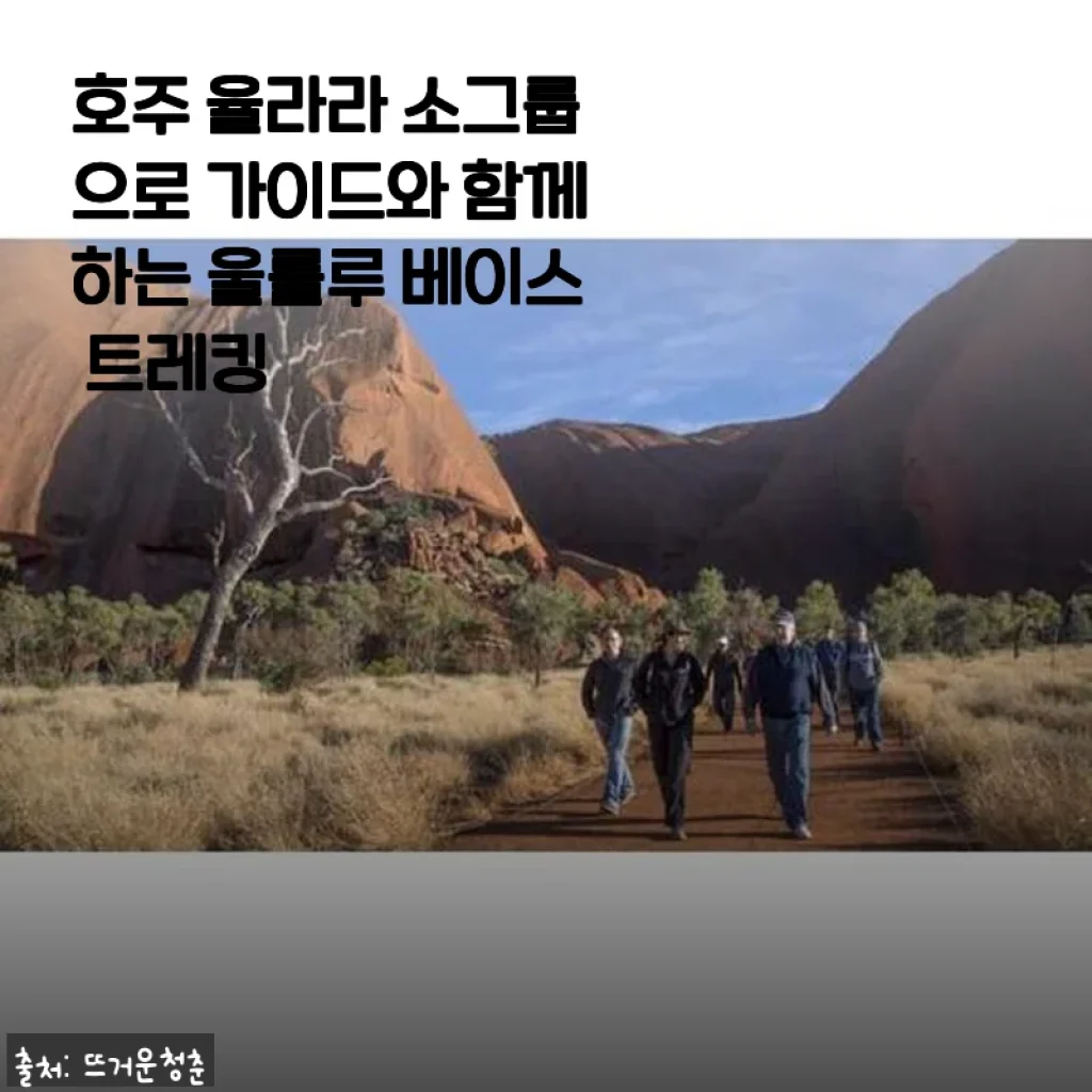 호주 율라라 소그룹 가이드 울룰루 베이스 트레킹 사용후기