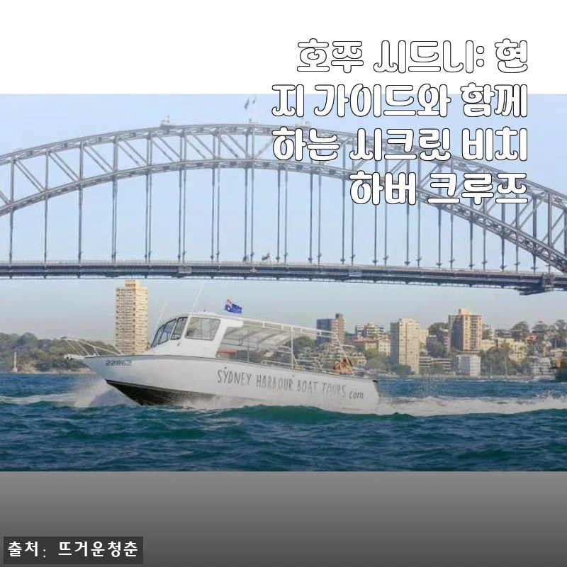 호주 시드니 현지 가이드와 함께하는 시크릿 비치 하버 크루즈 체험 후기