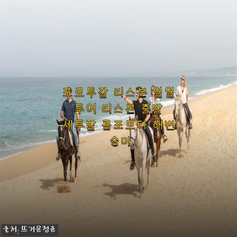 포르투갈 리스본 일일 투어 - 세투발과 콤포르타 해변 승마 체험 후기