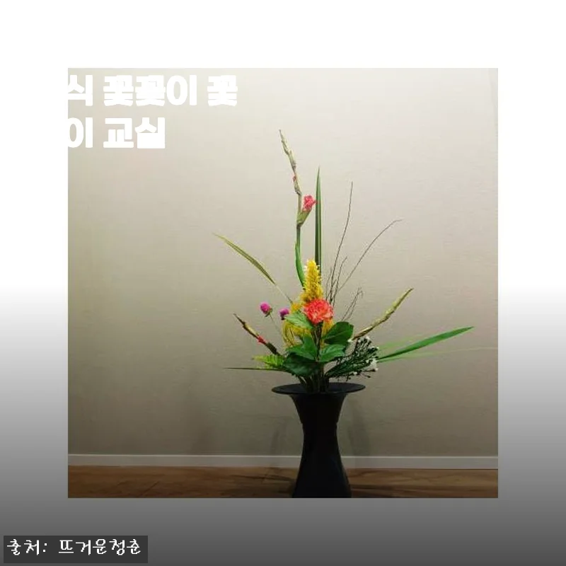 일본 교토 스타일 꽃꽂이 교실 체험 후기: 집에서 만나는 전통의 아름다움
