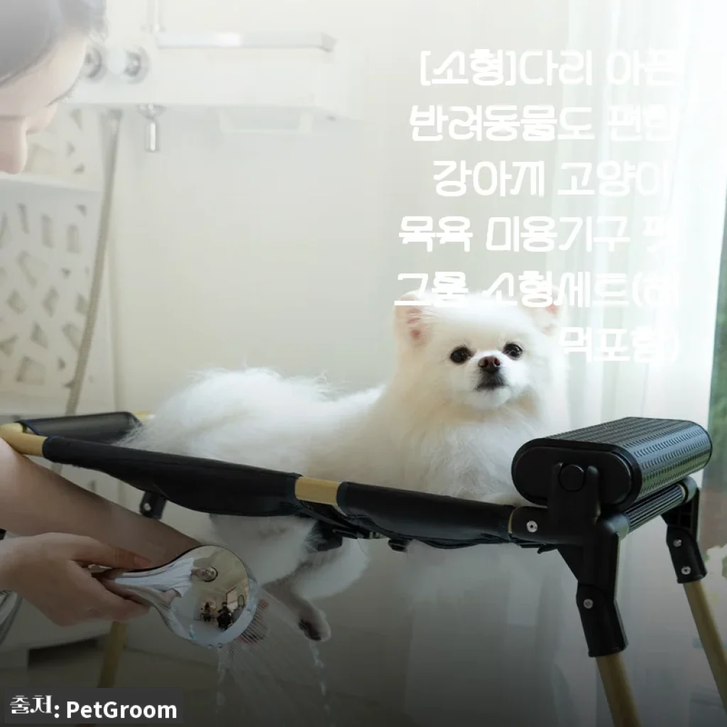 [사용후기] 다리 아픈 반려동물도 편한 ‘펫그룸 소형세트’ 직접 써보니