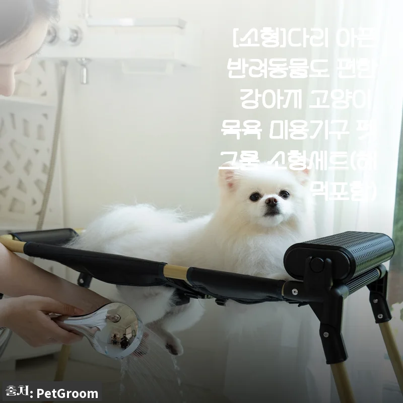 [사용후기] 다리 아픈 반려동물도 편한 ‘펫그룸 소형세트’ 직접 써보니