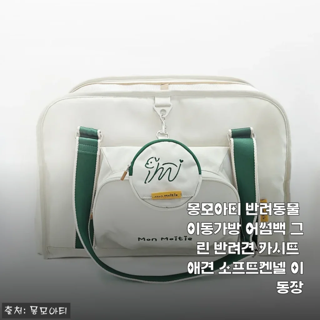 몽모아티 반려동물 이동가방 어썸백 그린 사용후기: 튼튼함과 편리함을 모두 갖춘 반려견 카시트