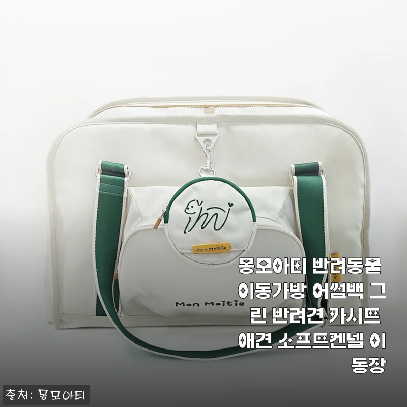 몽모아티 반려동물 이동가방 어썸백 그린 사용후기: 튼튼함과 편리함을 모두 갖춘 반려견 카시트