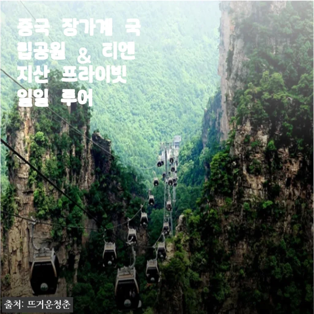 중국 장가계 국립공원 & 티엔지산 프라이빗 일일 투어 사용 후기