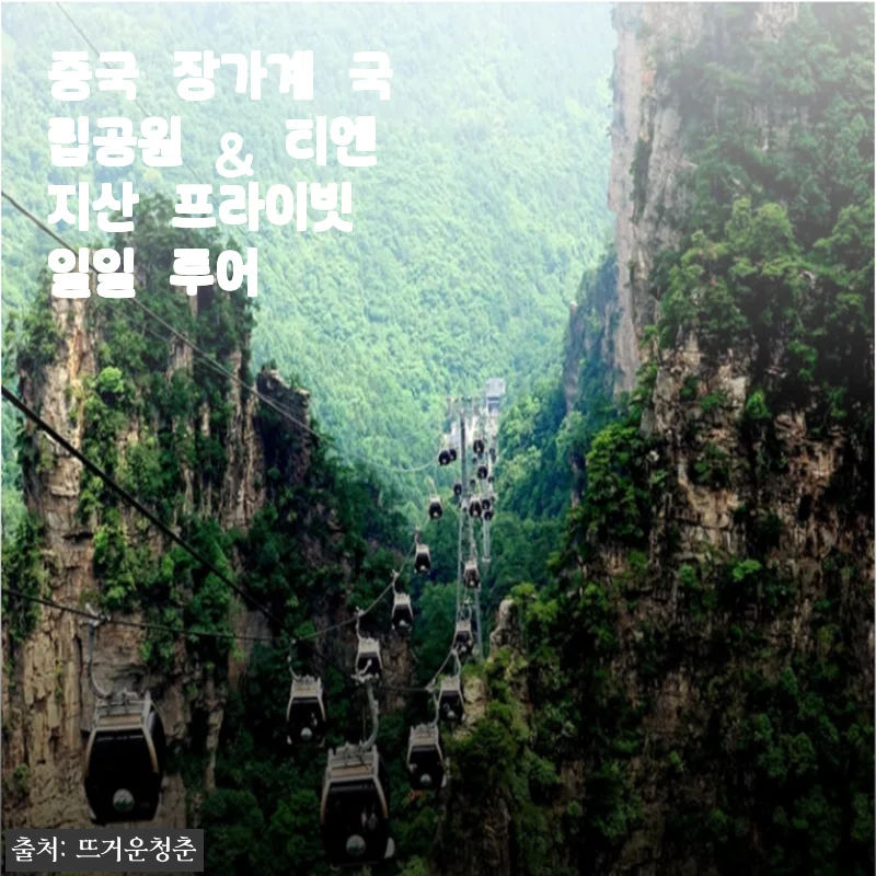 중국 장가계 국립공원 & 티엔지산 프라이빗 일일 투어 사용 후기