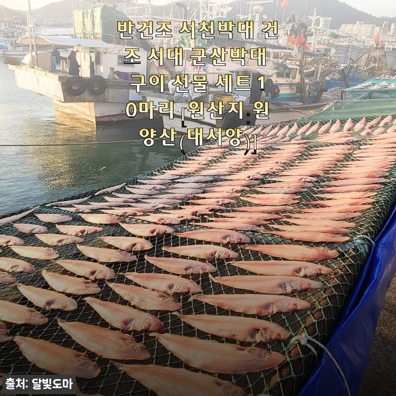 반건조 서천박대 10마리 선물 세트 사용후기: 신선함과 맛, 그리고 가성비 모두 만족!